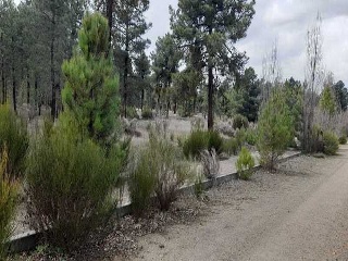 PARAJE BILBAO, TRUEBA Y SENOVILLA 5