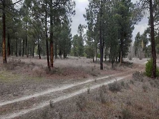 PARAJE BILBAO, TRUEBA Y SENOVILLA 6