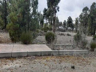 PARAJE BILBAO, TRUEBA Y SENOVILLA 8