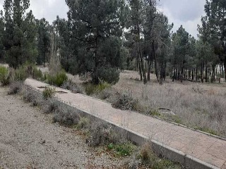 PARAJE BILBAO, TRUEBA Y SENOVILLA 9