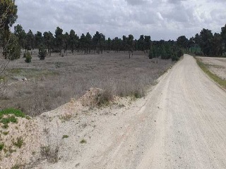 PARAJE BILBAO, TRUEBA Y SENOVILLA 10