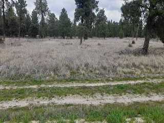 PARAJE BILBAO, TRUEBA Y SENOVILLA 12