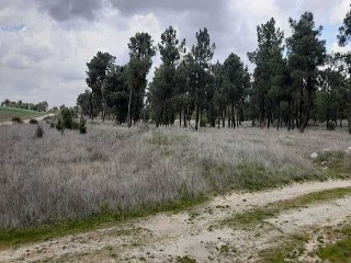 PARAJE BILBAO, TRUEBA Y SENOVILLA 13