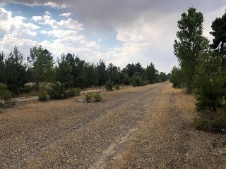 PARAJE BILBAO, TRUEBA Y SENOVILLA 15