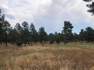 PARAJE BILBAO, TRUEBA Y SENOVILLA 23