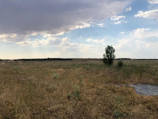 PARAJE BILBAO, TRUEBA Y SENOVILLA 24
