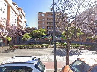 Pins Dels 2