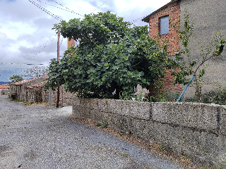 Covelas 2