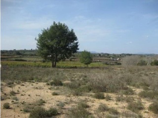 Suelos en C/ Asturias  - Godelleta - Valencia 6
