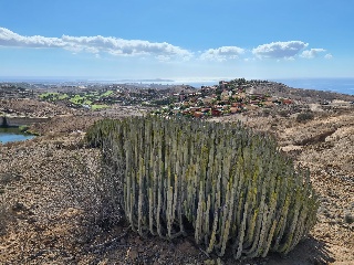 Suelo urbanizable en Ur Salobre Golf, San Bartolomé de Tirajana (Las Palmas) 24