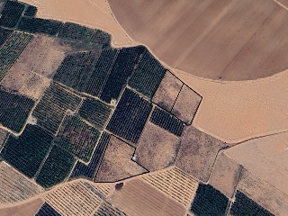 Suelos rústicos en  C/ Partida Botiguero Pol. 2 y 12, La Almunia de Doña Godina (Zaragoza) 6