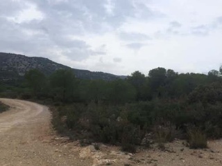 Suelo rústico en C/ Font de La Parra, Pol 11 - Peñíscola - Castellón 8