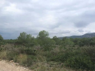 Suelo rústico en C/ Font de La Parra, Pol 11 - Peñíscola - Castellón 10