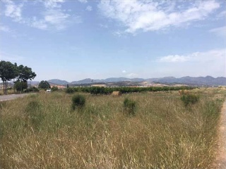 Suelos en Partida Rafol - Chilches - Castellón 6