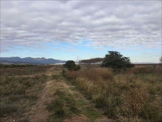 Suelos en Partida Rafol - Chilches - Castellón 7