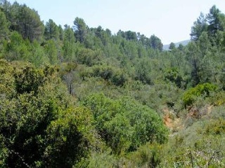 Suelo rústico en C/ Quebradas, Pol 9 - Yátova - Valencia 6