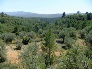 Suelo rústico en C/ Quebradas, Pol 9 - Yátova - Valencia 7