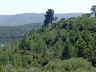 Suelo rústico en C/ Quebradas, Pol 9 - Yátova - Valencia 8