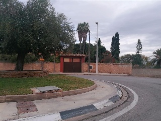 BETERA 8