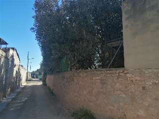 BETERA 12