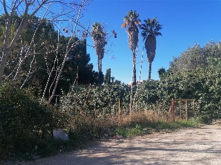 BETERA 14