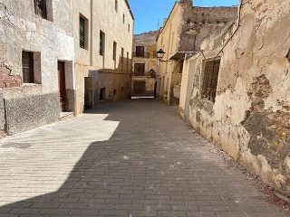 León 8