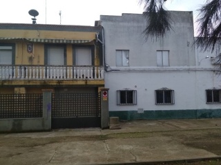 Vicente Sos Baynat 3