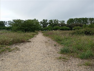 DOMENY 6