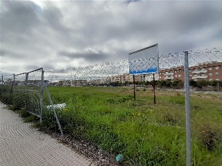LUIS ZAMBRANO BLANCO 7