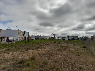 LUIS ZAMBRANO BLANCO 9