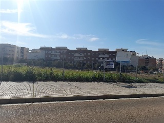 LUIS ZAMBRANO BLANCO 11