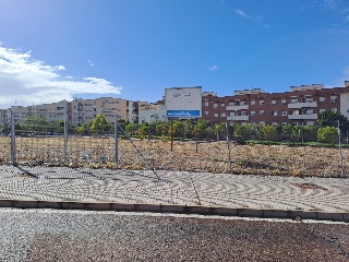 LUIS ZAMBRANO BLANCO 12