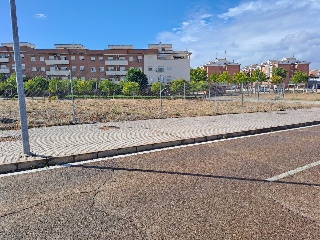 LUIS ZAMBRANO BLANCO 13