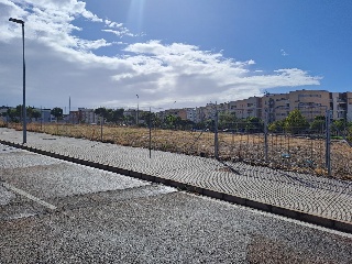 LUIS ZAMBRANO BLANCO 14