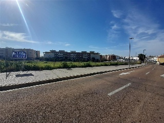 LUIS ZAMBRANO BLANCO 18