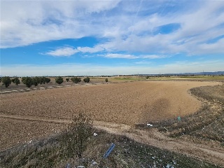 Sitio Los Pulgosos 2