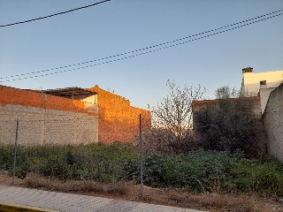 MANZANEDA 2