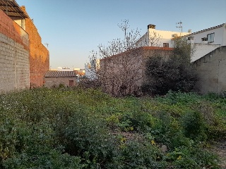 MANZANEDA 3