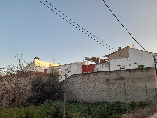 MANZANEDA 5