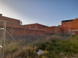 MANZANEDA 8