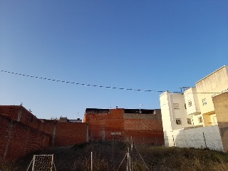 MANZANEDA 16