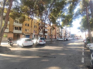 Pinos 2