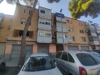 Pinos 3