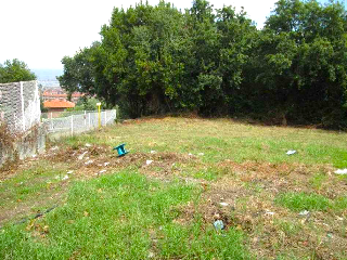 VALMASEDA 7