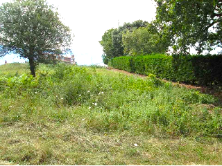 VALMASEDA 11