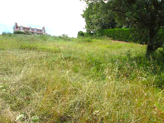 VALMASEDA 12