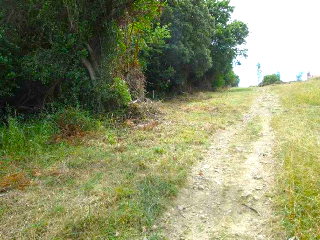 VALMASEDA 13
