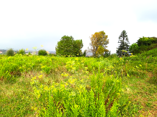 LA CANTERA 15