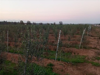 PARAJE FRAILE 18