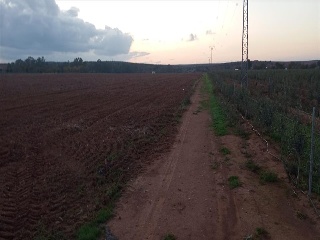 PARAJE FRAILE 19